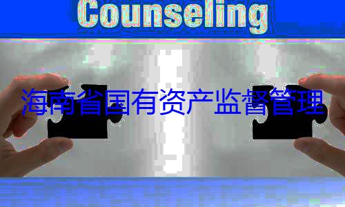 查调查委副书记王海南省国有理委员会党有福接受审资产监督管